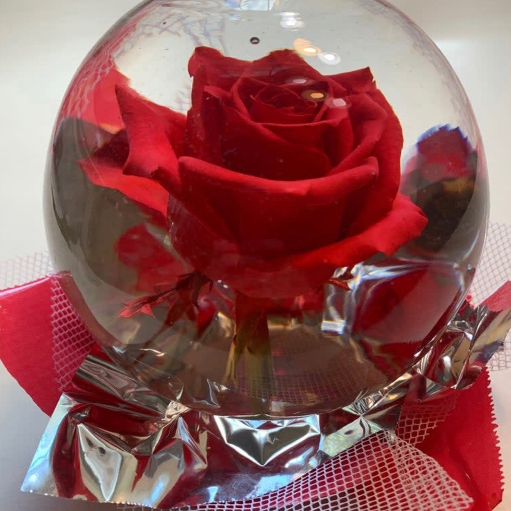 Real Rose Globe 🌹